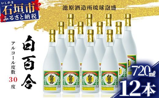 yꌧΊ_szIK-10 r S 720ml 30x 12{Zbg