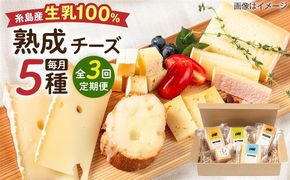 【全3回定期便】 糸島産 生乳 100％ 使用 手作り 熟成 チーズ 5種 食べ比べ セット 糸島市 / 糸島ナチュラルチーズ製造所TAK-タック-[AYC005]