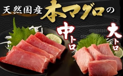 厳選 天然本マグロ 中トロ・大トロ 1kｇ以上 国産 マグロ 鮮魚 魚 高知県 刺身 刺し身 漬け丼 海鮮丼 おかず 魚介類 海鮮 海産物 まぐろ 本まぐろ 鮪 ブロック 惣菜 冷凍 美阿丸 高知県 室戸市