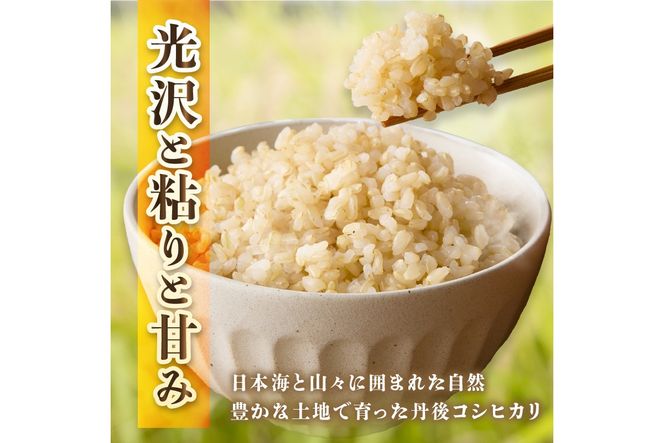 直売所直送「令和7年産　京丹後市産　コシヒカリ」　玄米10kg ふるさと納税 米 玄米 特A 検査1等米 国産 こめ ごはん 京都産 コシヒカリ 農家応援 生産者応援 送料無料　JA00085S