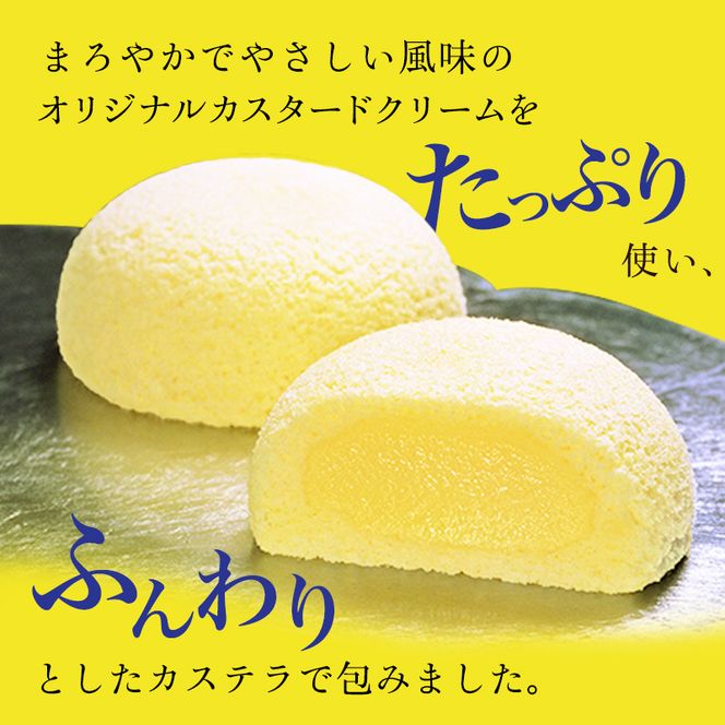 萩の月6個入り 仙台銘菓 定番 お土産 菓匠三全 和菓子