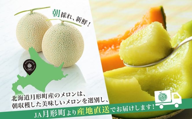 【2026年夏発送】北海道 赤肉メロン 北の女王 秀品 約1.6kg×2玉 計約3.2kg 令和8年 メロン 果物 フルーツ 旬 季節 希少 貴重 甘い 豊潤 国産 デザート ご褒美 産地直送 ギフト お祝い 贈答品 贈り物 常温 お取寄 送料無料 