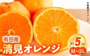 ZN6001n_和歌山県有田産 完熟 清見オレンジ 5kg ひとつひとつ丁寧に厳選！生産者から直送【清見 みかん オレンジ タンゴール きよみ 柑橘 和歌山 有田】