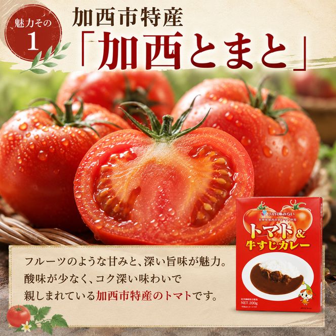 「加西産とまと」を使ったトマト & 牛すじカレー レトルトカレー 5箱 カレー 中辛 野菜/とまと やさい セット