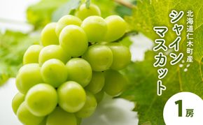 [先行受付] 北海道 仁木町産 シャインマスカット 1房 ぶどう マスカット 果物 くだもの フルーツ 季節のフルーツ [鶴田農園]