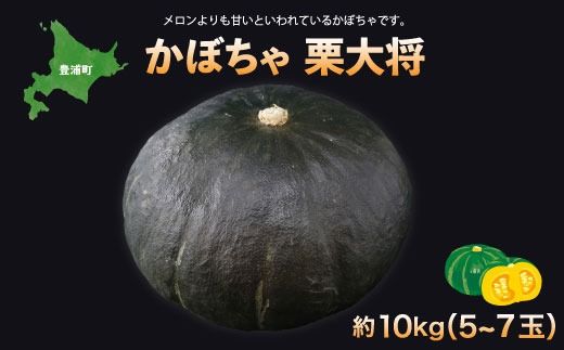 北海道 豊浦町 かぼちゃ 栗大将 約10kg 5～7玉 TYUL003