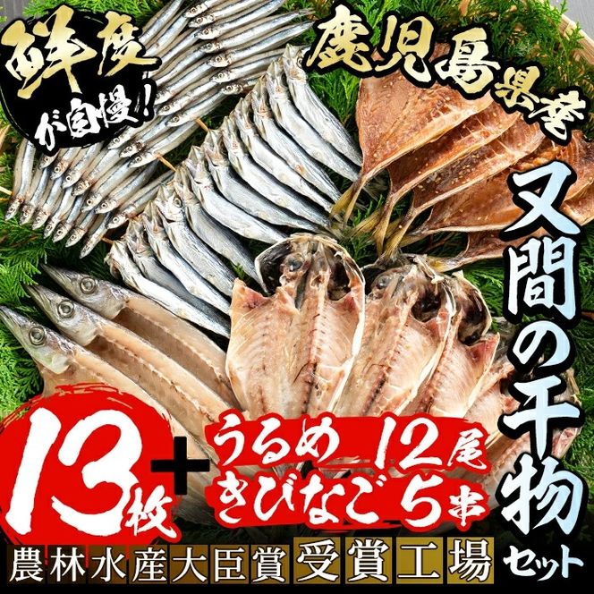 鹿児島県産！干物詰め合わせ(5種)国産 九州産 魚介 ひもの 干物 乾物 鯵 あじ かますな きびなご ウルメ セット 詰合せ【又間水産】akn001-02