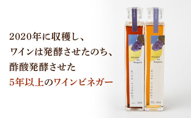ワインビネガー2020年紅白200ml　2本セット 322032_DJ001