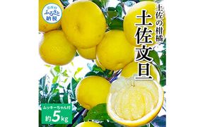 【CF-R7hbk】TKA040　先行予約 土佐の柑橘 土佐文旦 5kg 詰め合わせ （皮むき機）付き 文旦 5キロ ぶんたん 柑橘 高知県 高知 返礼品 故郷納税 16000円 果物 くだもの フルーツ お取り寄せ 美味しい おいしい ギフト プレゼント 贈答品 贈り物 お歳暮 御歳暮 熨斗 のし 常温