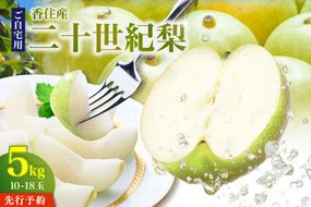 《2027年産 先行予約》二十世紀梨 ご自宅用 優品（Bランク）約5kg（L～5Lサイズ混合 10～18玉）【令和9年8月下旬以降発送予定】 国産 梨 香住産 20世紀梨 シャキシャキ 甘い みずみずしい 香住梨 フルーツ 果物 なし ナシ ご家庭用 青梨 和梨 大人気 人気 おすすめ ランキング 兵庫県 香美町 JAたじま 12-20