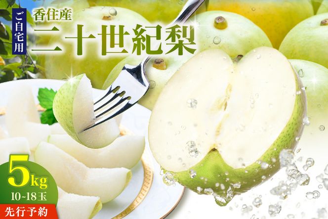 《2027年産 先行予約》二十世紀梨 ご自宅用 優品（Bランク）約5kg（L～5Lサイズ混合 10～18玉）【令和9年8月下旬以降発送予定】 国産 梨 香住産 20世紀梨 シャキシャキ 甘い みずみずしい 香住梨 フルーツ 果物 なし ナシ ご家庭用 青梨 和梨 大人気 人気 おすすめ ランキング 兵庫県 香美町 JAたじま 12-20