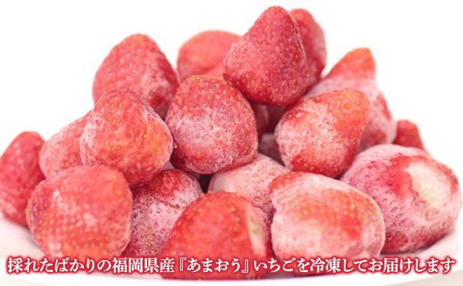 冷凍 あまおう 約1.5kg いちご ※配送不可：北海道・沖縄・離島