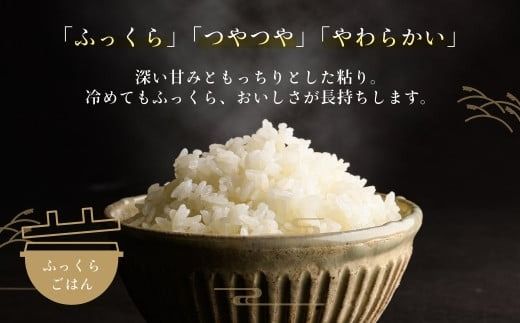 令和7年産 新米 北海道米 函館育ち「ふっくりんこ」5kg （5kg×1袋） 2025年度産 米 お米 白米 北海道産 甘味 函館 はこだて_HD037-001