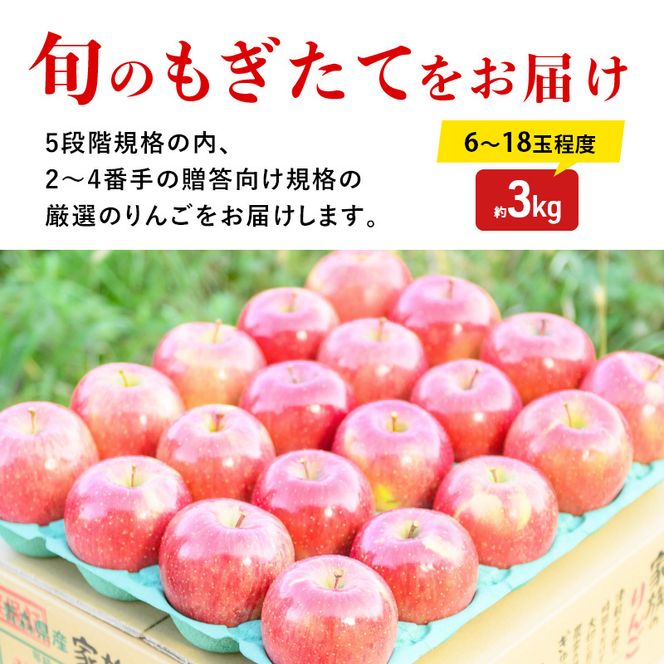 りんご 【12月・1月発送】 蜜入り 糖度13度以上 おもてなし用 家庭用 葉とらず サンふじ 約 3kg 【 青森りんご 】 りんご リンゴ 果物 フルーツ 産地直送 贈り物 年末 年始 挨拶