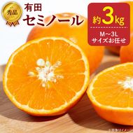 【2027年先行予約】秀品 セミノール 和歌山 有田 M～3Lサイズ 大きさお任せ 約3kg_DZ6037