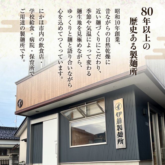 鱈の魚醤使用 タラーメン しょっつる醤油・あっさり塩（12人前） 麺類 塩ラーメン 