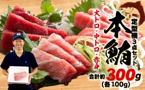 本まぐろ 大とろ 中とろ 赤身 詰合せ 約300g 本鮪 [ PT0014-000013]