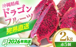 【2026年発送】 完熟ドラゴンフルーツ 2kg (5玉) 果物 フルーツ スーパーフード 産地直送 沖縄市 / タカエスフルーツ＆ベジタブル[BCBH004]