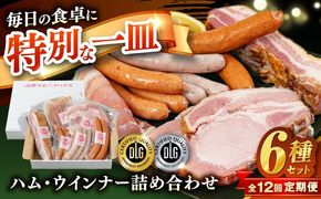 【全12回定期便】＼DLG金賞・銀賞受賞！／糸島の陽光 ハム 6種 セット 6 糸島市 / 志摩スモークハウス ハム ソーセージ 食べ比べ[AOA052]