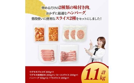豚肉 「まるみ豚」 宮崎県産 豚肉 人気 セット 計1.1kg 国産 九州産 川南町 豚 肉 小分け 簡単調理 ウデ モモ ハンバーグ ローススライス バラスライス おかず お手軽 冷凍[D11512]