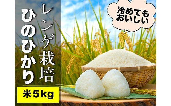 グルテンフリーを実践している農家が作った 米粉 2kg と 米「ひのひかり」5kg のセット 岡山県 瀬戸内市産 石黒農園