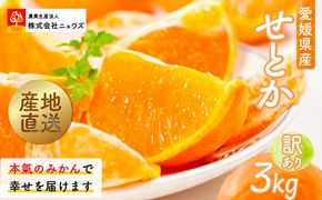 【先行予約】産地直送！愛媛県産せとか（訳あり） 3kg（2027年2月下旬から発送予定） IKTF005