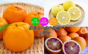 〈定期便〉【2・3・4月 全3回】和歌山の春の柑橘（ポンカン・はるか・ブラッドオレンジ）｜フルーツ ふるーつ 果物 くだもの 詰め合わせ 果物定期便 春 旬 みかん オレンジ 国産 産地直送 美浜町厳選館 美浜町