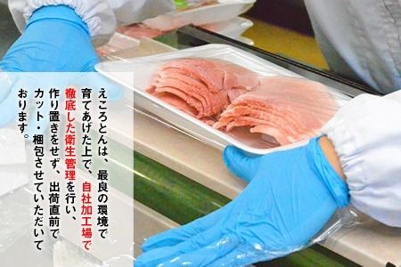 えころとん・豚肉6種(計1200g)　豚肉バーベキューセット《60日以内に出荷予定(土日祝除く)》熊本県産 有限会社ファームヨシダ---so_ffarmy6bbq_60d_r7_15000_1200g---