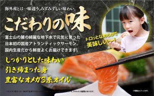  国産 静岡県小山町産 アトランティックサーモン 冷凍 スモークサーモン 冷燻・グラブラックス 食べ比べセット約100g×4パック×2つの味