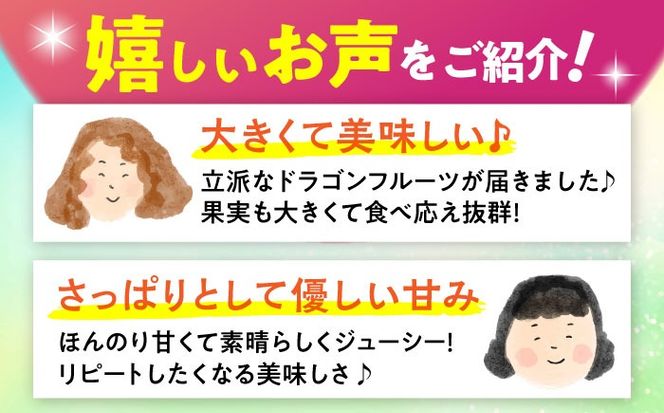 【2026年発送 先行受付】 完熟ドラゴンフルーツ 2kg (5玉) 果物 フルーツ スーパーフード 産地直送 無農薬 沖縄市 / タカエスフルーツ＆ベジタブル[BCBH004]