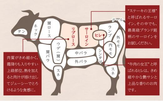 佐賀牛セット 年4回定期便コース(2人前) H-307