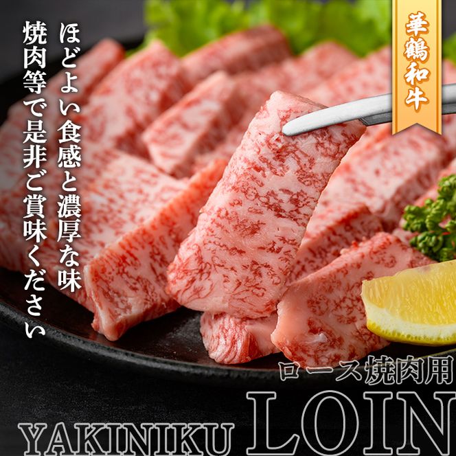 商標登録のブランド黒毛和牛肉！鹿児島いずみ華鶴和牛の焼き肉用ロース(約300g) 阿久根市 国産 九州産 鹿児島県産 特産品 肉 牛肉 焼肉 希少【鹿児島いずみ農業協同組合】akn018-24