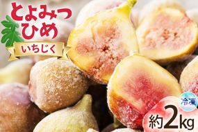 いちじく 冷凍 とよみつひめ 約1kg 2袋 計約2kg [地域商社ふるさぽ 福岡県 宇美町 um40bfw220007] フルーツ 果物 イチジク くだもの 無花果 ジャム シャーベット スムージー