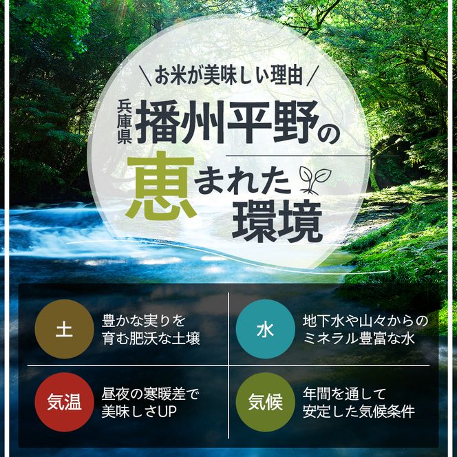 米 令和8年産 先行受付 しきゆたか 白米 5kg《2026年12月発送》 お米 精米 単一原料米 お弁当 おにぎり 冷めても美味しい 農業支援 就労者支援 日用品