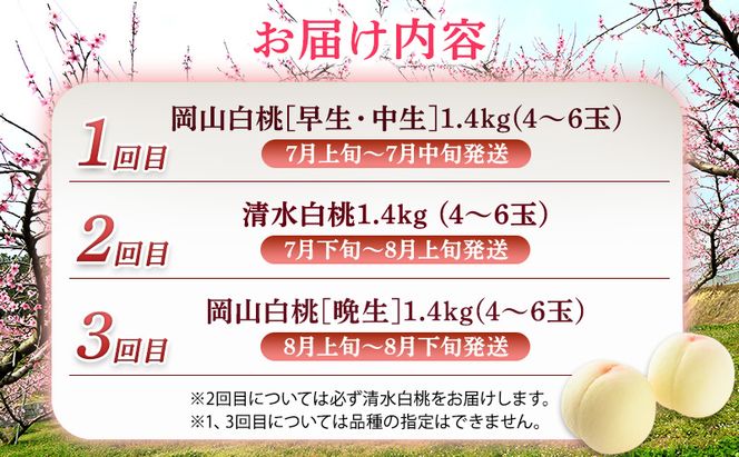 2026年 先行予約 ご家庭用 清水白桃 岡山白桃 食べ比べ定期便 1.4kg(4～6玉) もも モモ 岡山県 国産 フルーツ 果物