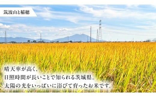茨城県 筑西市産 コシヒカリ 精白米 10kg 令和7年産 単一原料米 精米 米 お米 コメ 白米 こしひかり 茨城県 [AF103ci]
