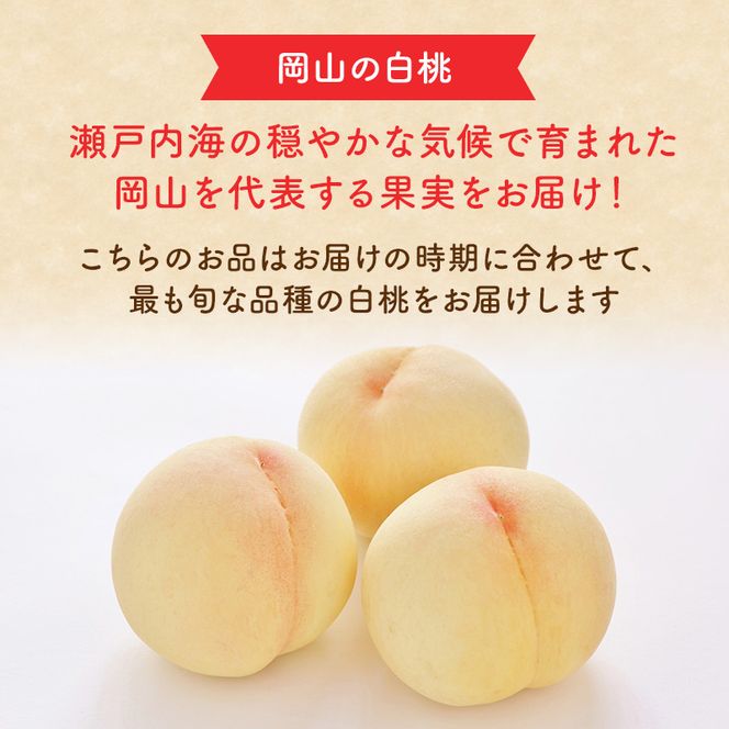 桃 2026年 先行予約 岡山 白桃 ロイヤル 4～6玉 約1kg JA おかやま のもも（早生種・中生種） もも モモ 岡山県産 国産 フルーツ 果物 ギフト 