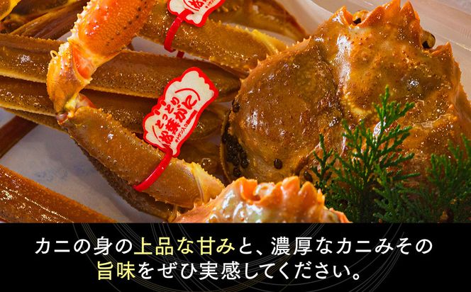 1035.鳥取県産　タグ付きボイル松葉ガニと活松葉ガニの欲張りフルコース特大2枚セット　(900g～1kg)　※2026年11月上旬～2027年3月下旬頃に順次発送予定 313726_AL034