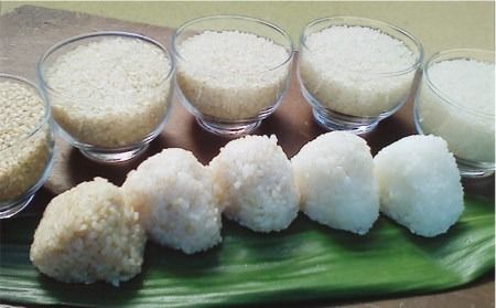 農薬 使わない 栽培！糸島産 夢つくし 5kg 玄米 分搗き 対応 糸島 / 二丈赤米産直センター[ABB025] 米 ゆめつくし 無洗米