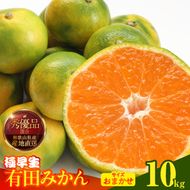 MK1070_【2026年先行予約】みかん 極早生 箱込10kg（内容量9.2kg）おまかせサイズ（S/M/L）秀品・優品 の混合 有田みかん 和歌山県産