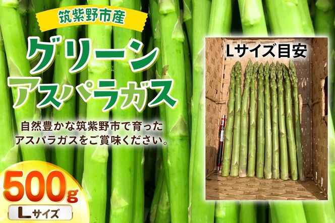 【期間限定発送】 アスパラ グリーンアスパラガス L 500g [ファームいまむら 福岡県 筑紫野市 21761484] アスパラガス グリーンアスパラ 野菜