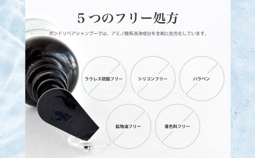 6回 定期便 サロン・ド・オーデ ボンドリペア シャンプー ＆ トリートメント つめかえ用 各 440ml 2本 セット 合計 12本 ダメージ補修 ボトル 液体 アロインス製薬 美容 美容品 化粧品 高知 高知県 四万十 四万十市 しまんと 25-868