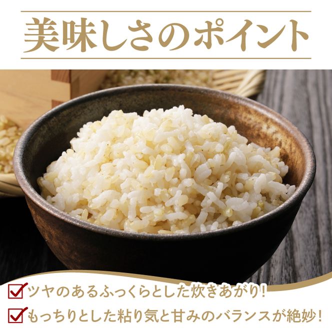 【金賞農家が栽培した家庭用米】立神米「にじのきらめき」30kg（玄米）令和8年産 【谷田部農産】｜茨城県 大子町 奥久慈 大子産米 精米 米 コンテスト 受賞 生産者（BT093）