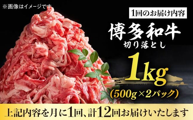 【全12回定期便】【たっぷり大容量！】博多和牛 切り落とし 1000g(500ｇ×2Ｐ）《築上町》【株式会社MEAT PLUS】[ABBP029]