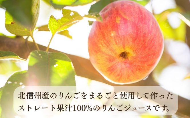 【果汁100%】りんごジュース 1L×6本 （At-002）