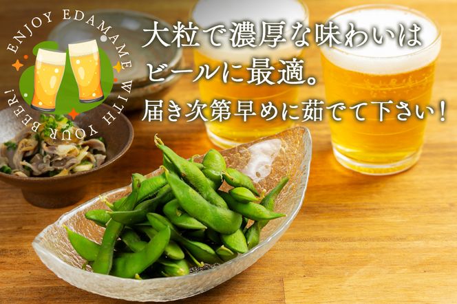 FYN9-388 ≪2026年先行予約≫山形県産 秘伝豆 2.5kg（250g×10袋）2026年9月中旬から順次発送 小分け 個包装 青大豆 枝豆 えだまめ 野菜 やさい おつまみ ビール 国産 山形県 西川町 月山