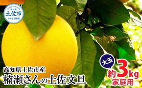 楠瀬さんの土佐文旦 家庭用大玉 約3kg 約3キロ 4L～2L ぶんたん ブンタン フルーツ 柑橘 みかん 果物 くだもの 柑橘類 デザート おやつ さっぱり おいしい 甘い お取り寄せ 国産