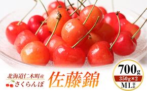先行受付 北海道 仁木町産 さくらんぼ 佐藤錦 700g (350g×2) ML以上  旬の果物 サクランボ チェリー フルーツ 果物 果物類 仁木町 仁木 [伊賀農園]