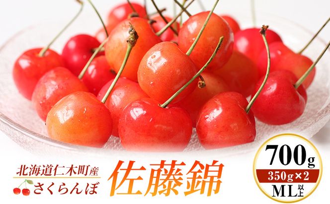 先行受付 北海道 仁木町産 さくらんぼ 佐藤錦 700g (350g×2) ML以上  旬の果物 サクランボ チェリー フルーツ 果物 果物類 仁木町 仁木 [伊賀農園]