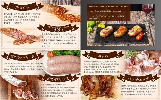 サラミ ソーセージ 6種 セット チョリソ チョリソー 白カビサラミ コッパ パンチェッタ ウィンナー ウインナー 白カビ 詰め合わせ ギフト プレゼント 贈答 熟成 熟成肉 お肉 豚肉 おつまみ つまみ お酒のおつまみ 冷蔵 冷蔵配送 愛知 愛知県 日進市